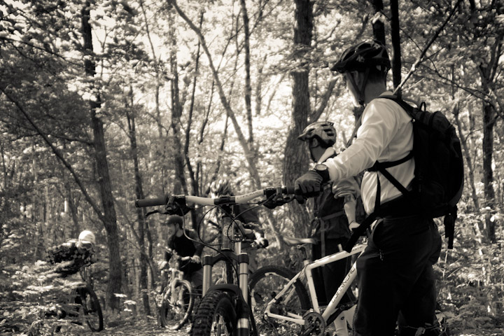 Guided Mountain Bike Tours