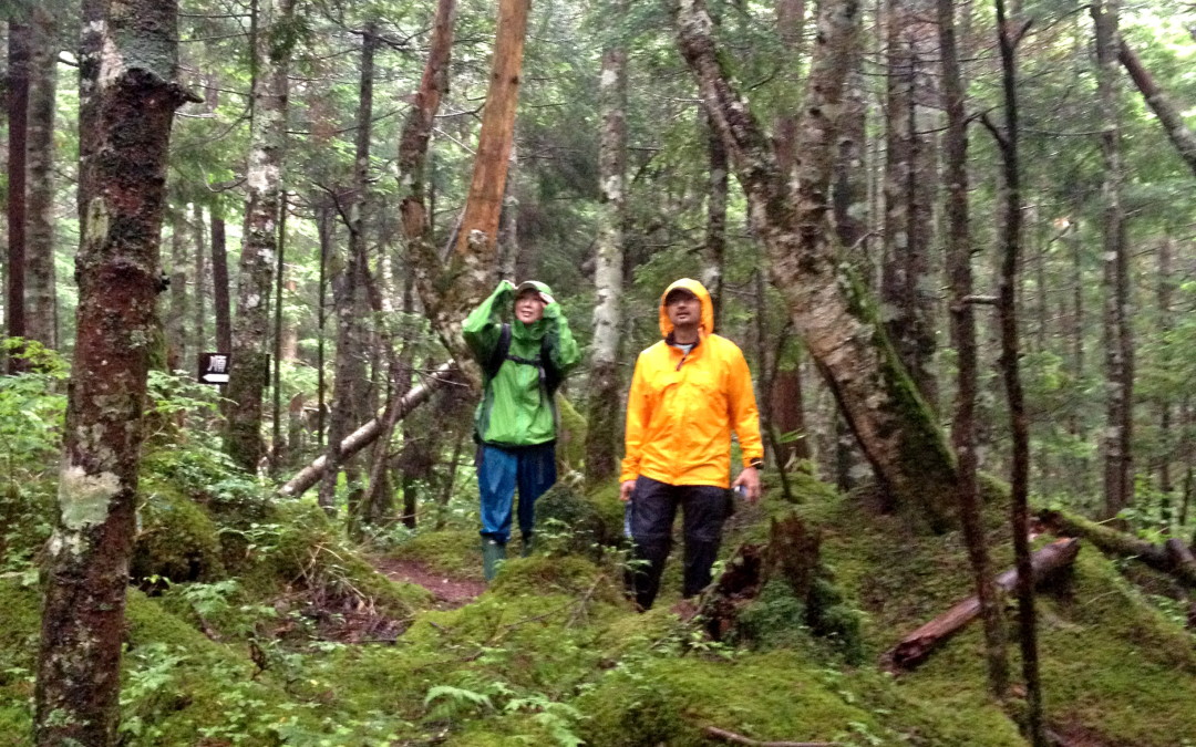 Walk and Ride in Rain