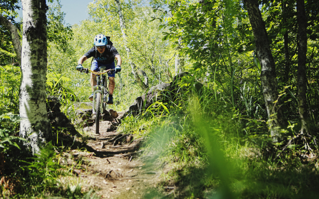 Moutain Bike Tours