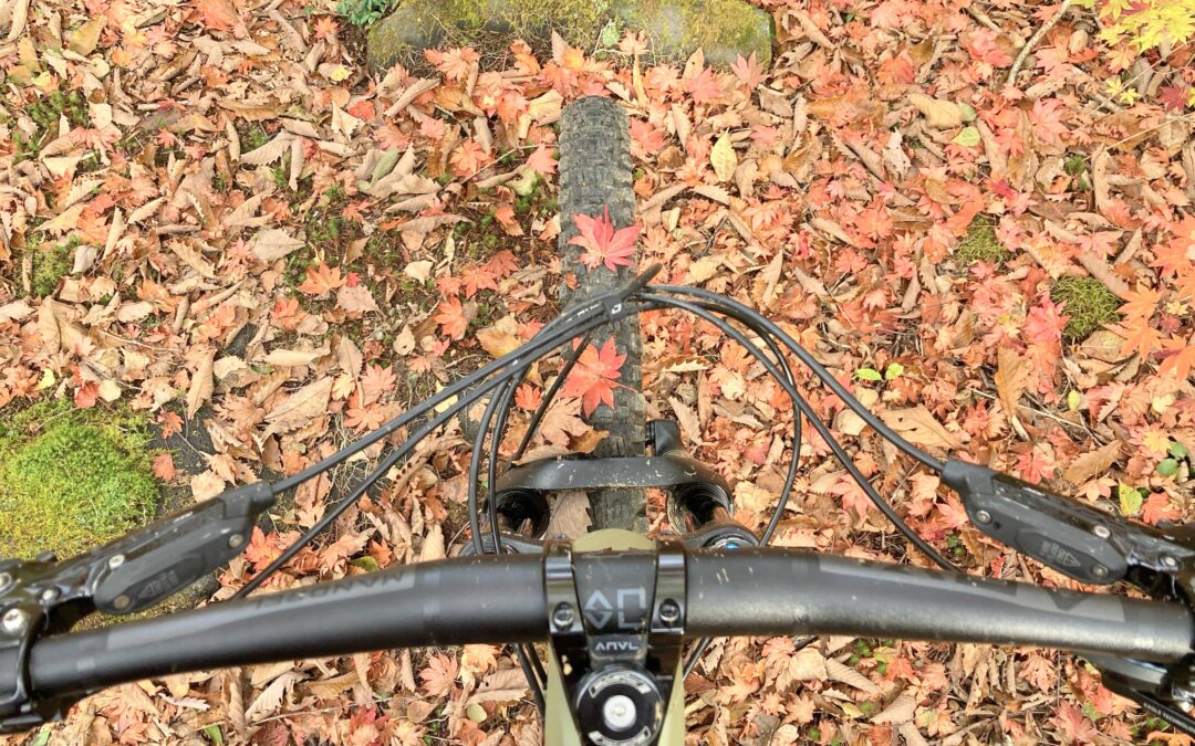 紅葉は上高地⁉︎ いやいや乗鞍で紅葉MTBライドでしょ！